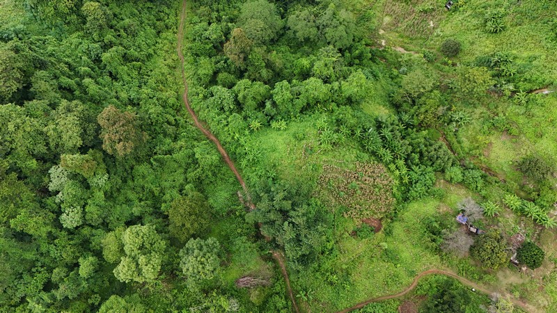 IUCN ra mắt Phiên bản thứ hai của Bộ Tiêu chuẩn Toàn cầu về Giải pháp dựa vào thiên nhiên (NbS)