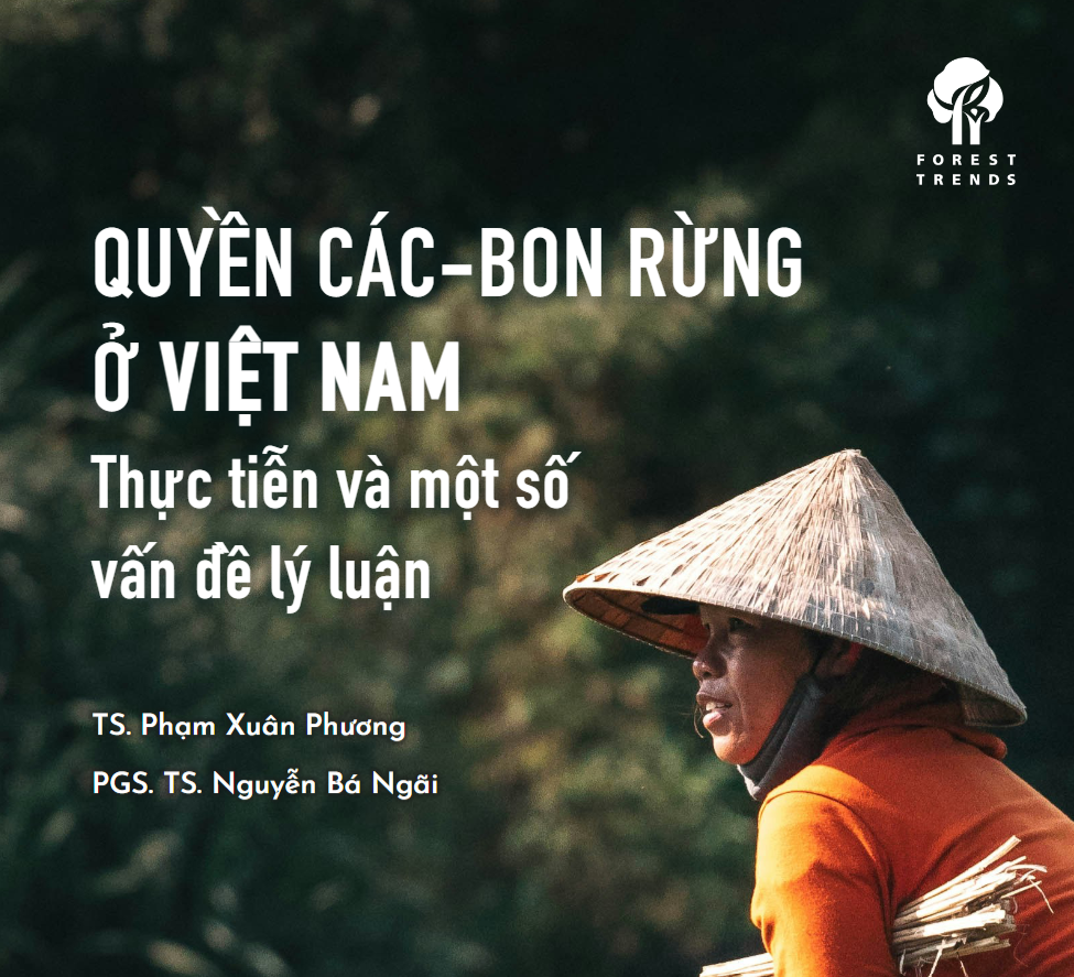Quyền các-bon rừng ở Việt Nam: Thực tiễn và một số vấn đề lý luận
