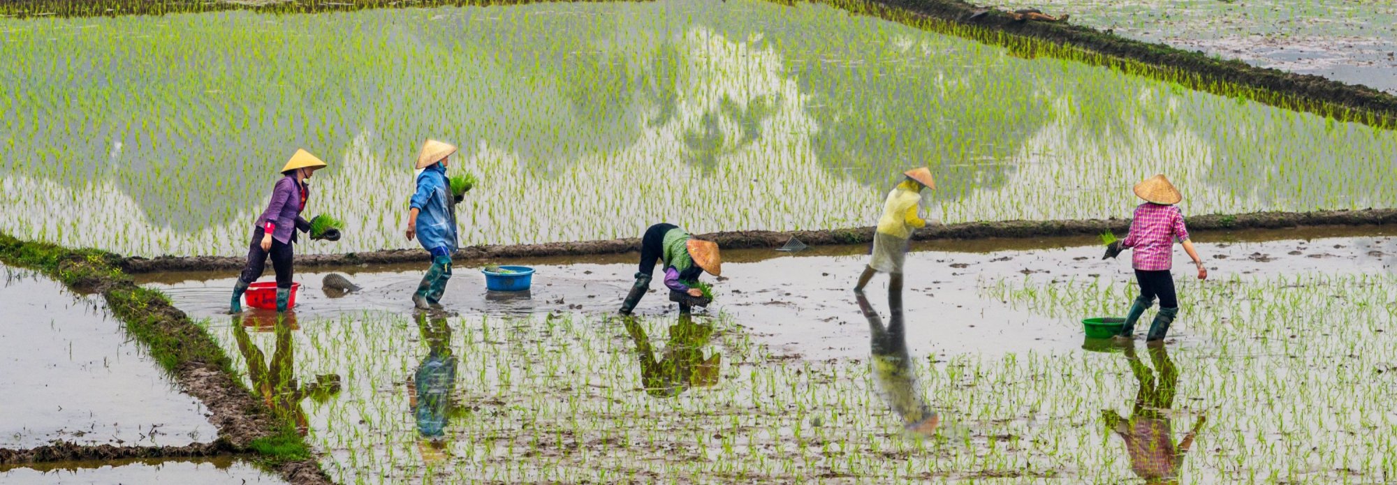 What's the Climate Cost of Growing Crops?